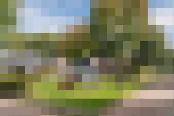Ruurd Visserstraat 58 Achterveld thumbnail 50