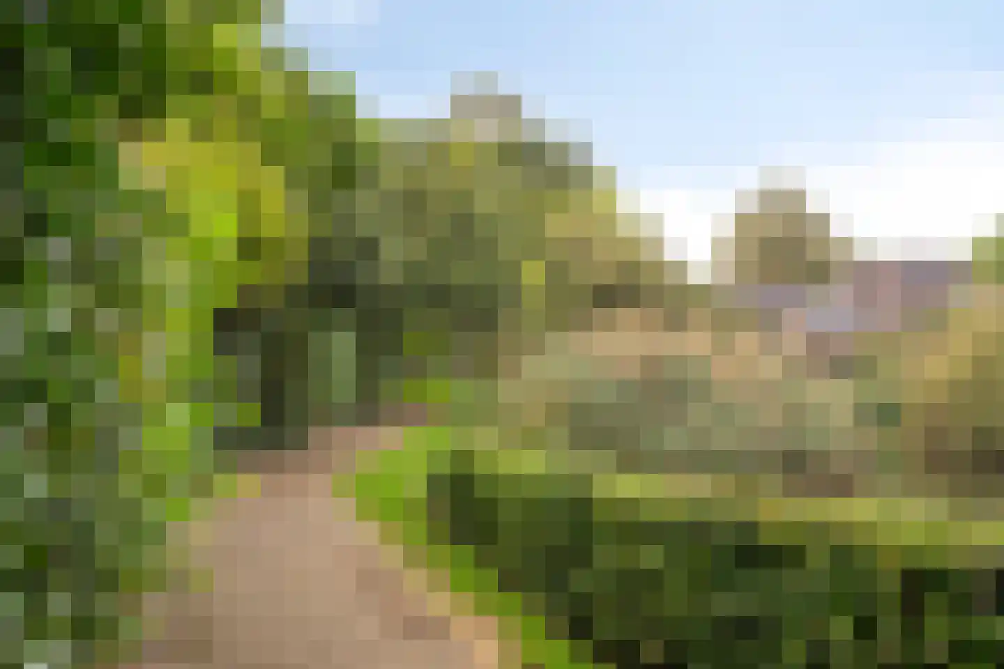 Ruurd Visserstraat 66 Achterveld thumbnail 32