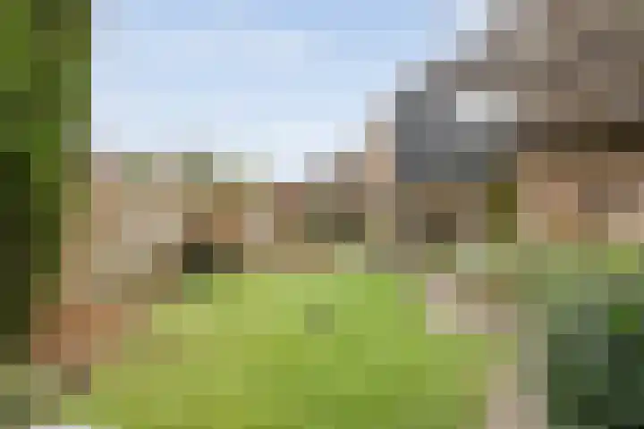 Ruurlosebeek 12 Zwolle thumbnail 39