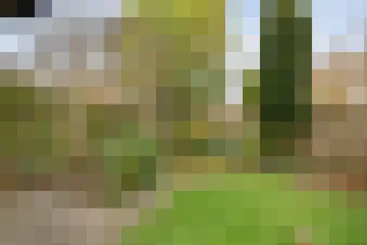 Ruurlosebeek 12 Zwolle thumbnail 40