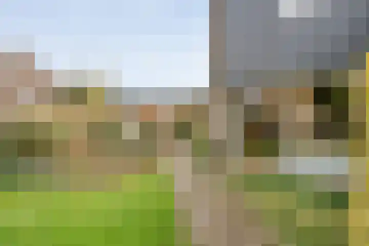 Ruurlosebeek 12 Zwolle thumbnail 41