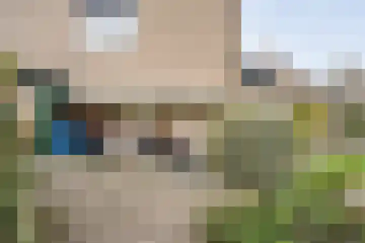 Ruurlosebeek 12 Zwolle thumbnail 44