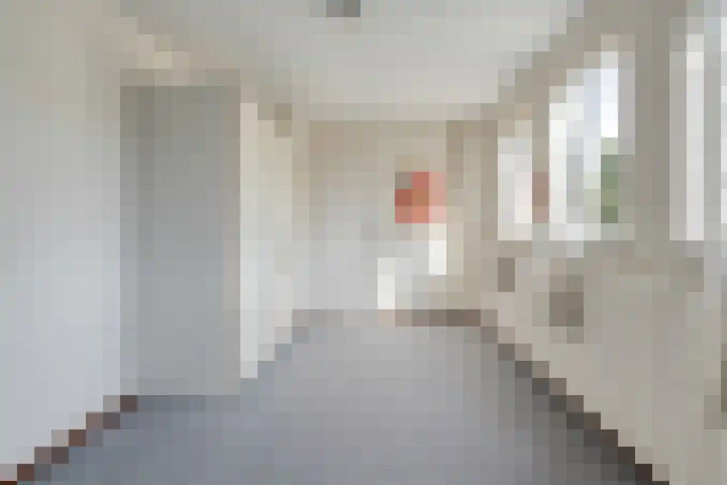 Ruurlosebeek 27 Zwolle thumbnail 26