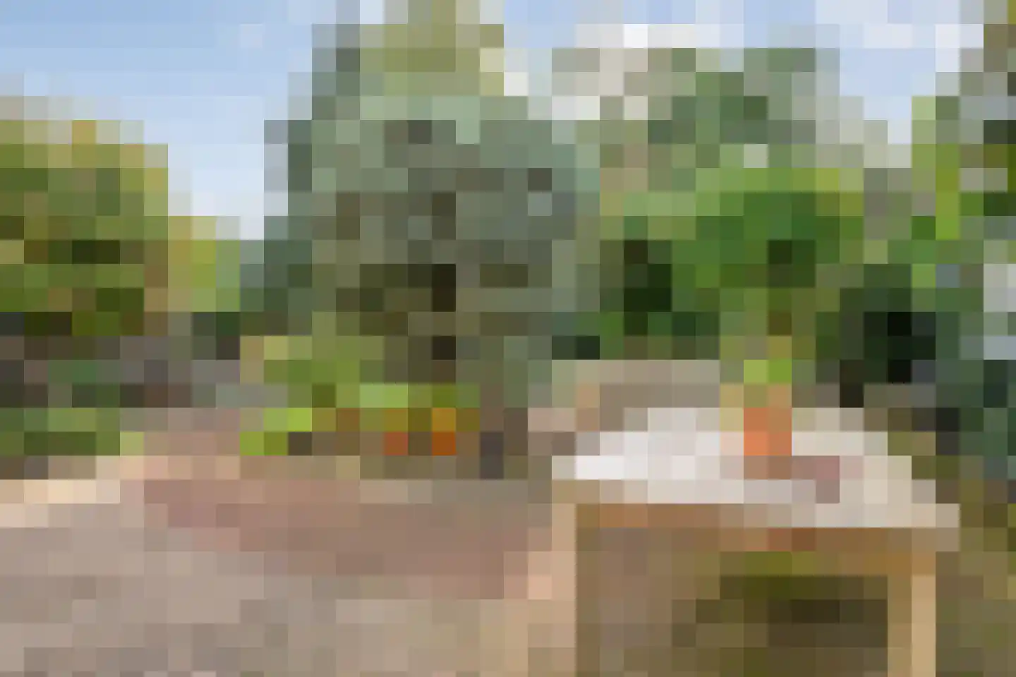Ruurlosebeek 27 Zwolle thumbnail 33