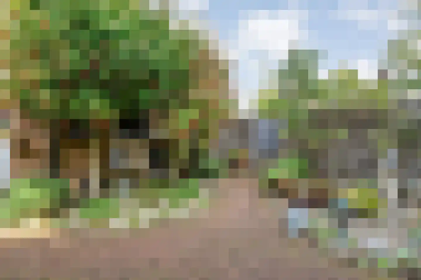 Ruurlosebeek 27 Zwolle thumbnail 35