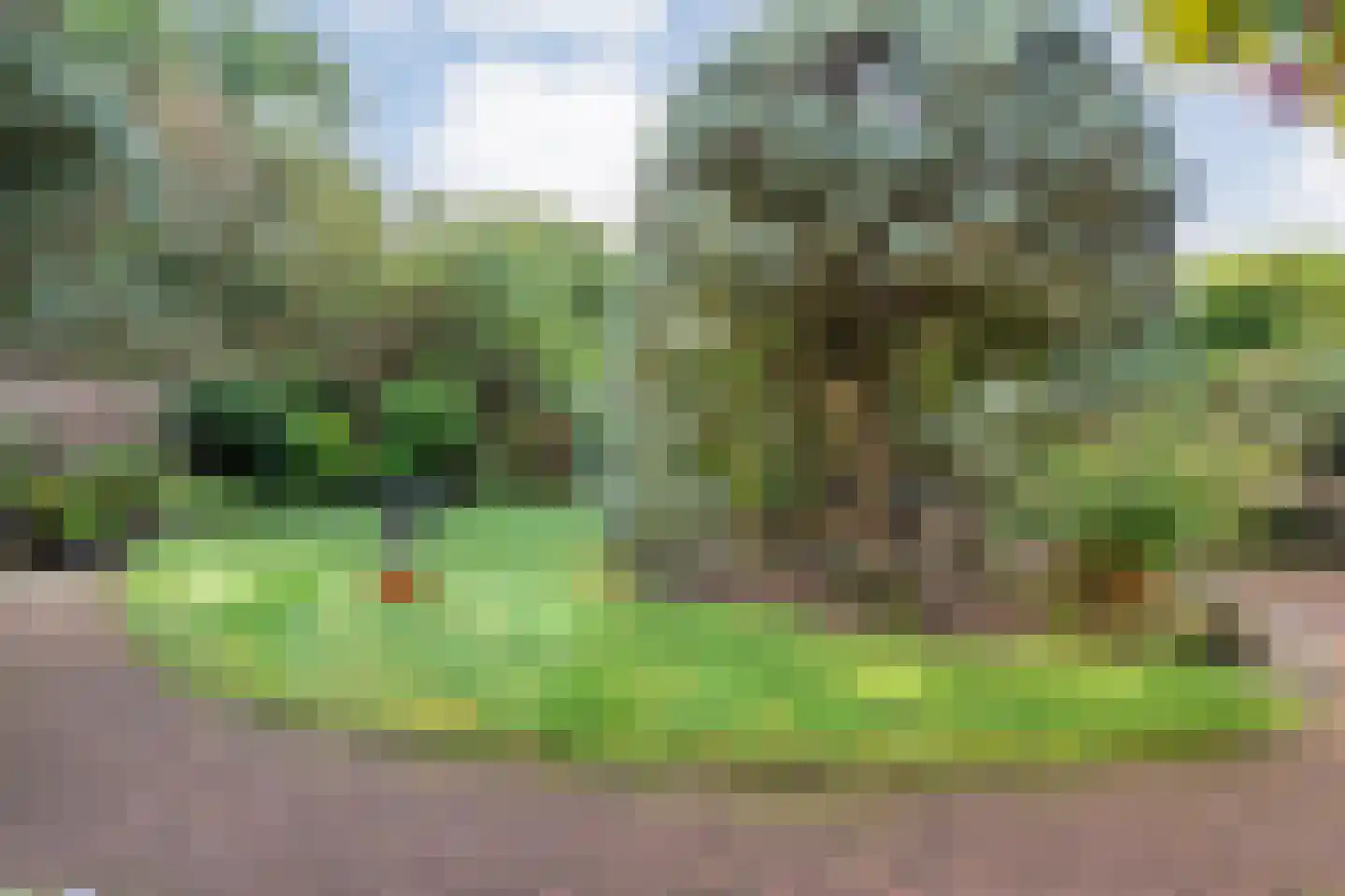 Ruurlosebeek 27 Zwolle thumbnail 36