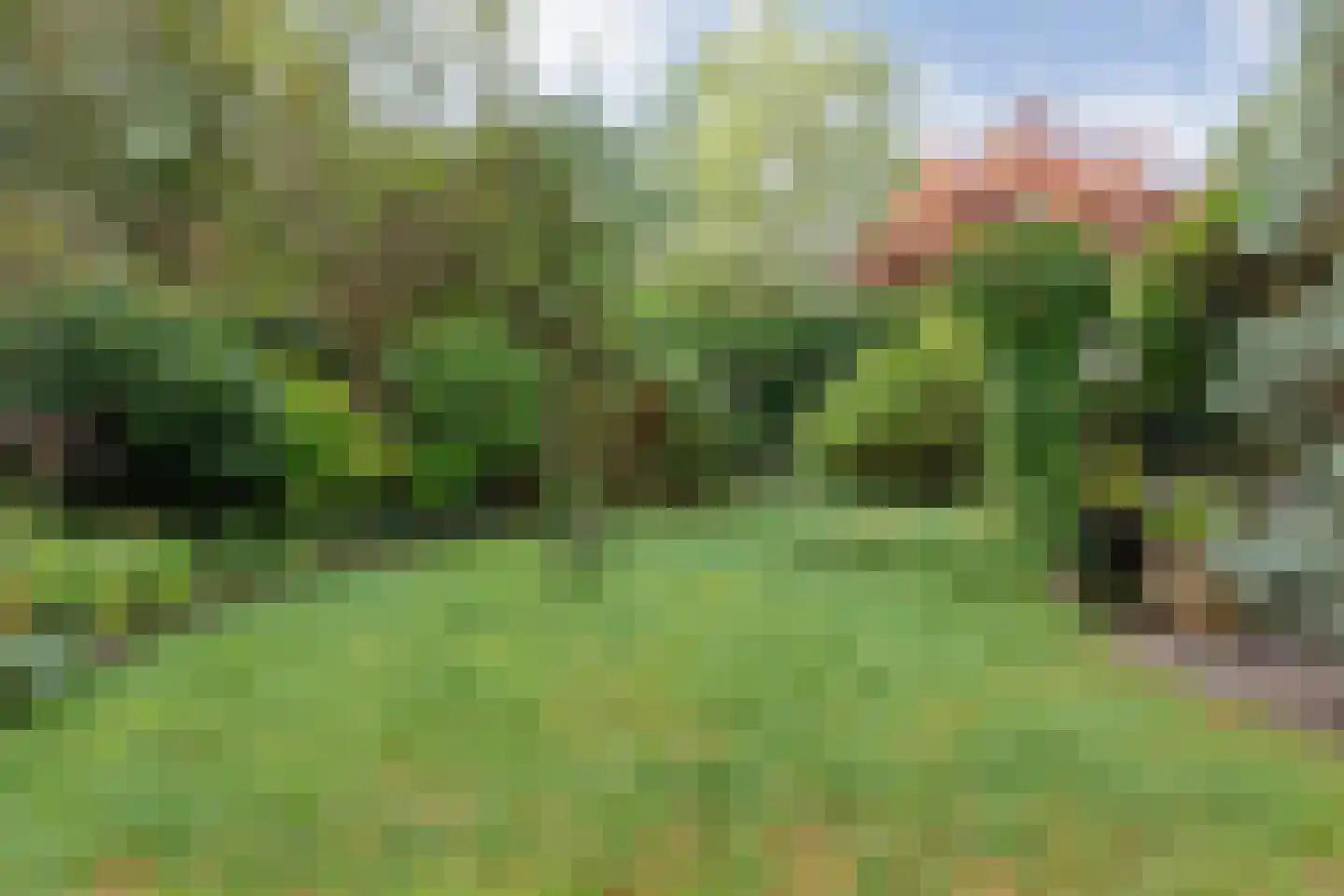 Ruurlosebeek 27 Zwolle thumbnail 38