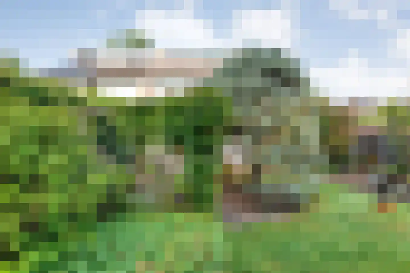 Ruurlosebeek 27 Zwolle thumbnail 39