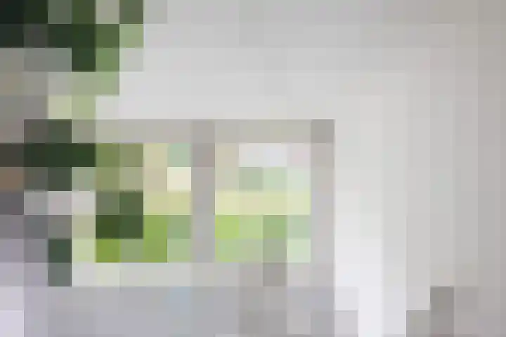 Ruurloseweg 123 Vorden thumbnail 35
