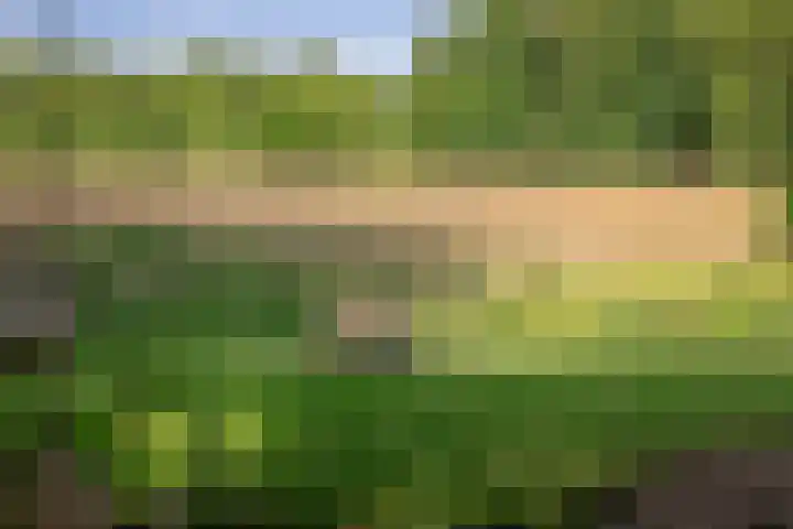 Ruurloseweg 123 Vorden thumbnail 4