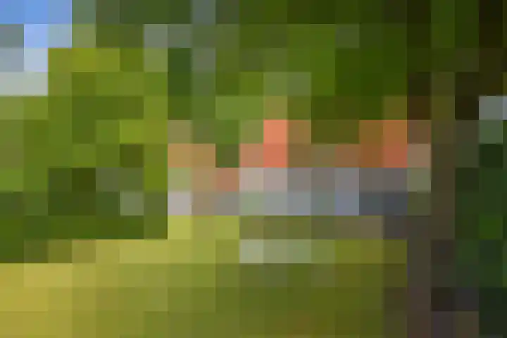 Ruurloseweg 123 Vorden thumbnail 42