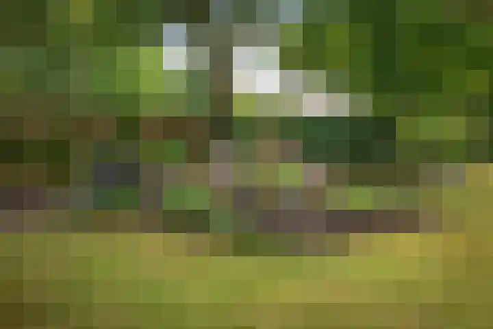 Ruurloseweg 123 Vorden thumbnail 43