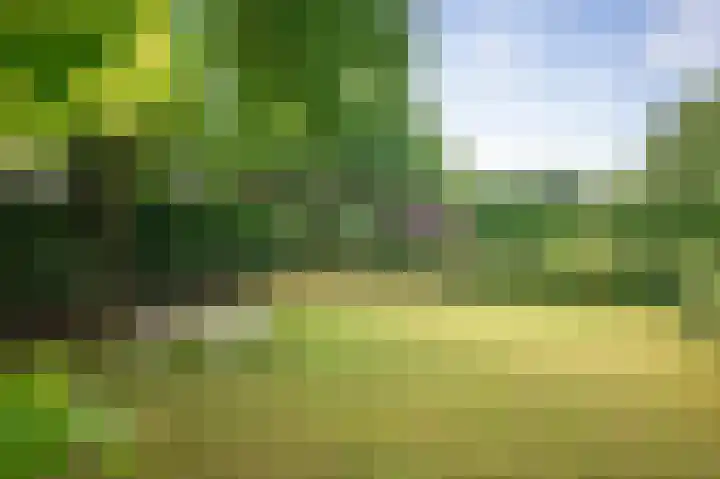 Ruurloseweg 123 Vorden thumbnail 44