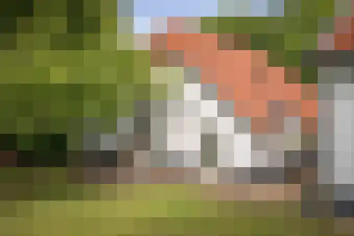 Ruurloseweg 123 Vorden thumbnail 46