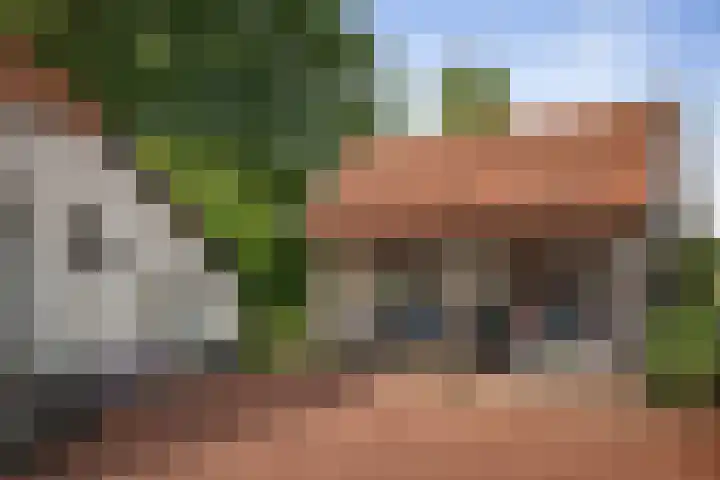 Ruurloseweg 123 Vorden thumbnail 5