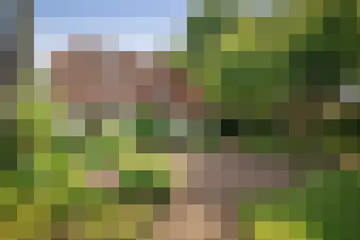 Ruurloseweg 123 Vorden thumbnail 57