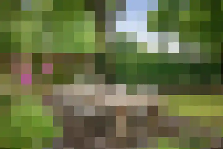 Ruurloseweg 123 Vorden thumbnail 58