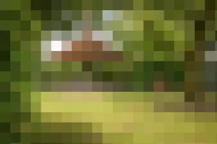 Ruurloseweg 123 Vorden thumbnail 60