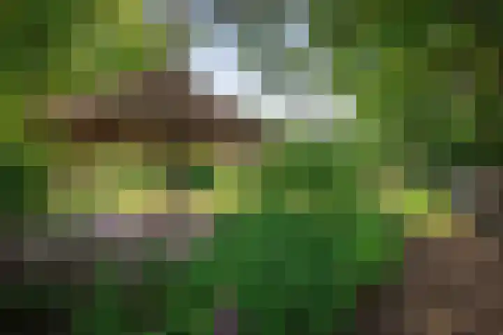 Ruurloseweg 123 Vorden thumbnail 61