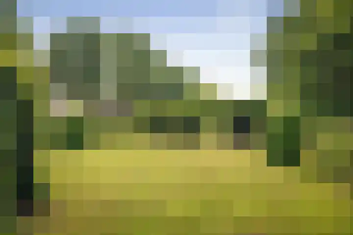 Ruurloseweg 123 Vorden thumbnail 62