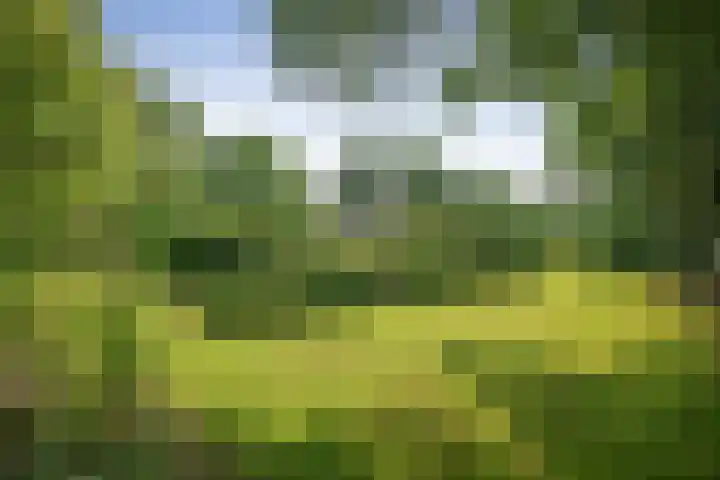 Ruurloseweg 123 Vorden thumbnail 64