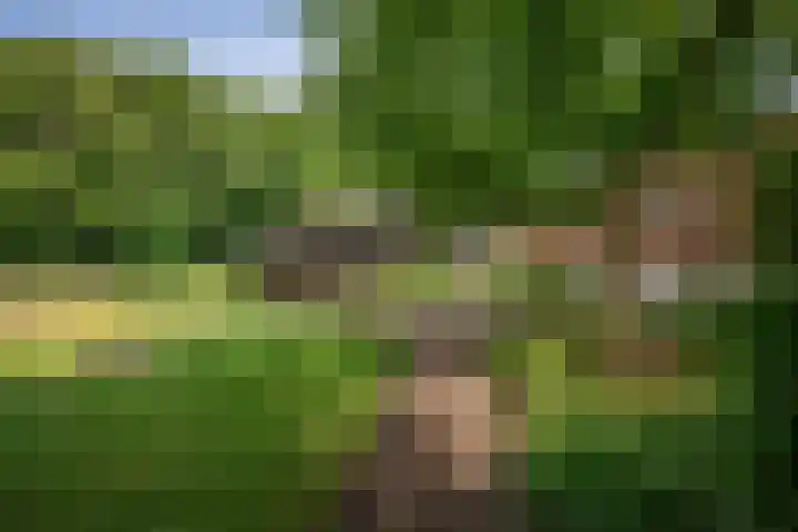 Ruurloseweg 123 Vorden thumbnail 65