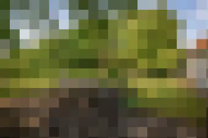 Ruurloseweg 123 Vorden thumbnail 66
