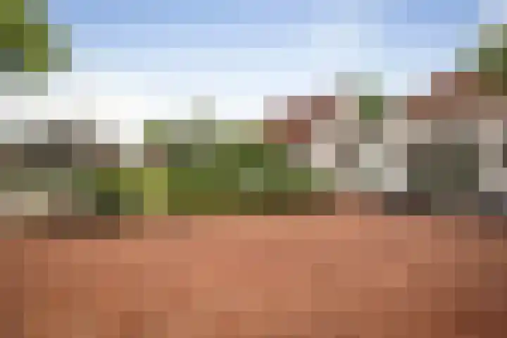 Ruurloseweg 123 Vorden thumbnail 68
