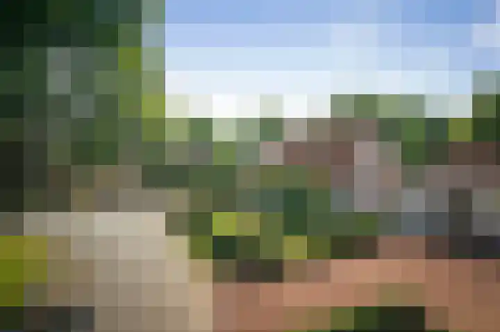 Ruurloseweg 123 Vorden thumbnail 70
