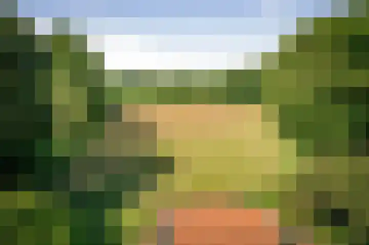 Ruurloseweg 123 Vorden thumbnail 71