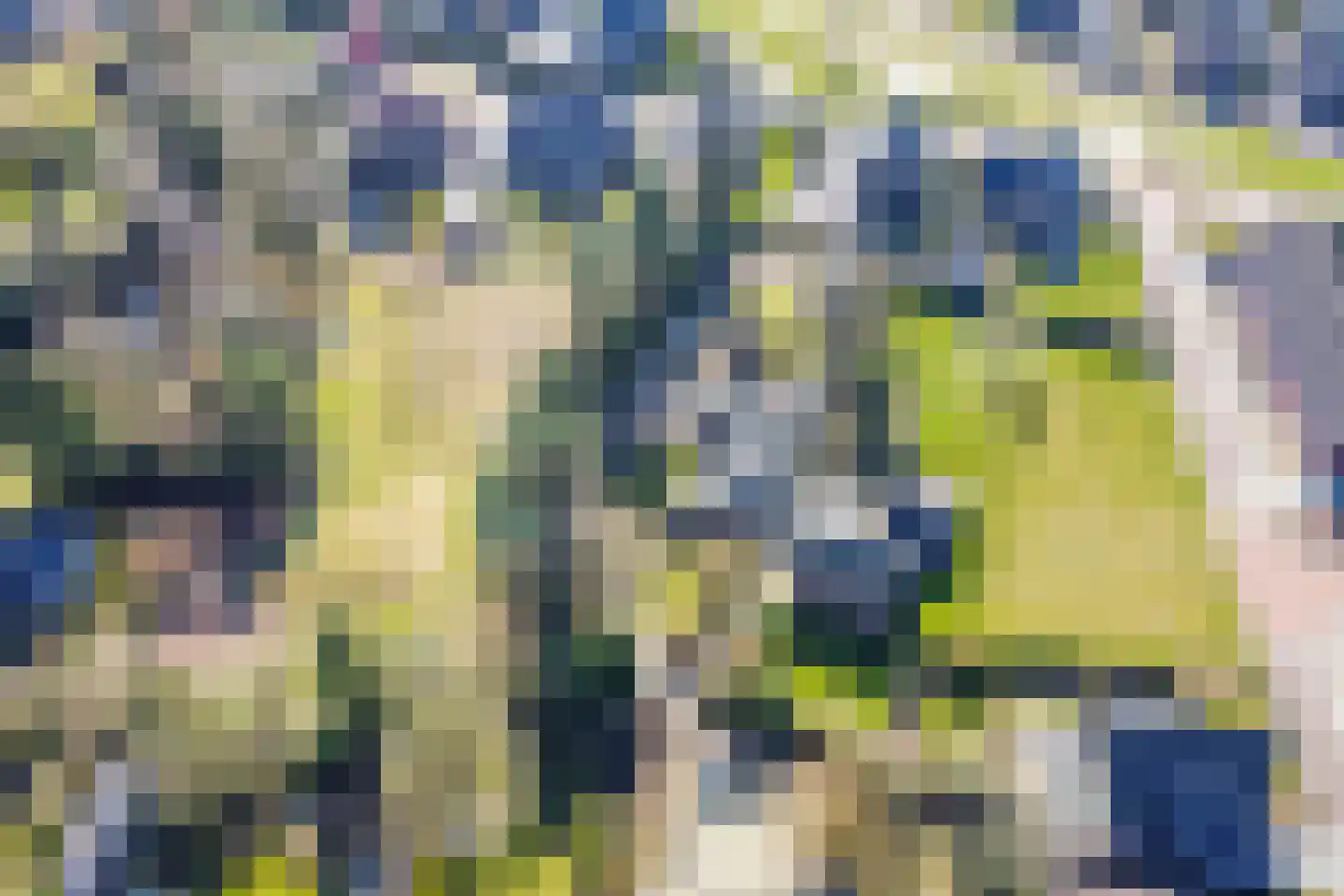 Ruurloseweg 15 Borculo thumbnail 34