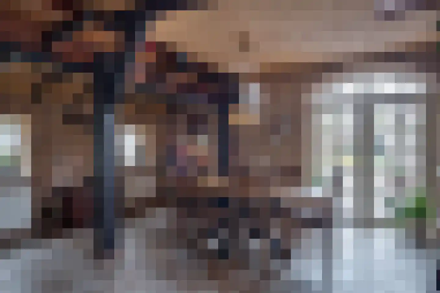 Ruurloseweg 15 Borculo thumbnail 5
