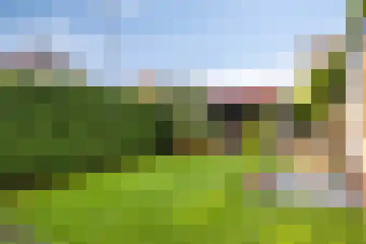Ruurloseweg 16 Barchem thumbnail 42