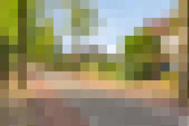Ruurloseweg 16 Barchem thumbnail 53