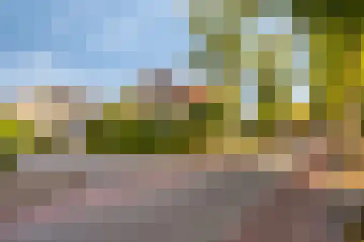 Ruurloseweg 16 Barchem thumbnail 54