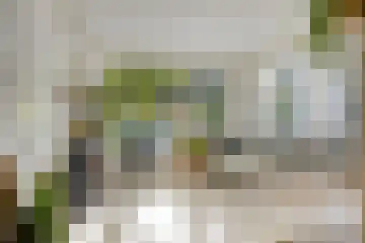Ruurloseweg 16 Barchem thumbnail 7