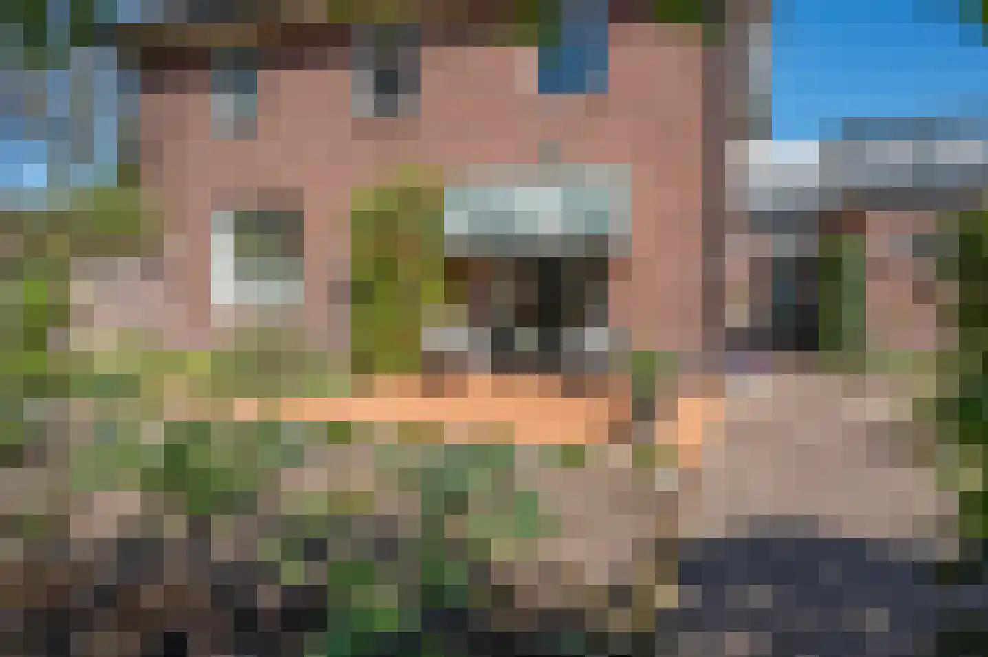 Ruurloseweg 17 Zelhem thumbnail 51