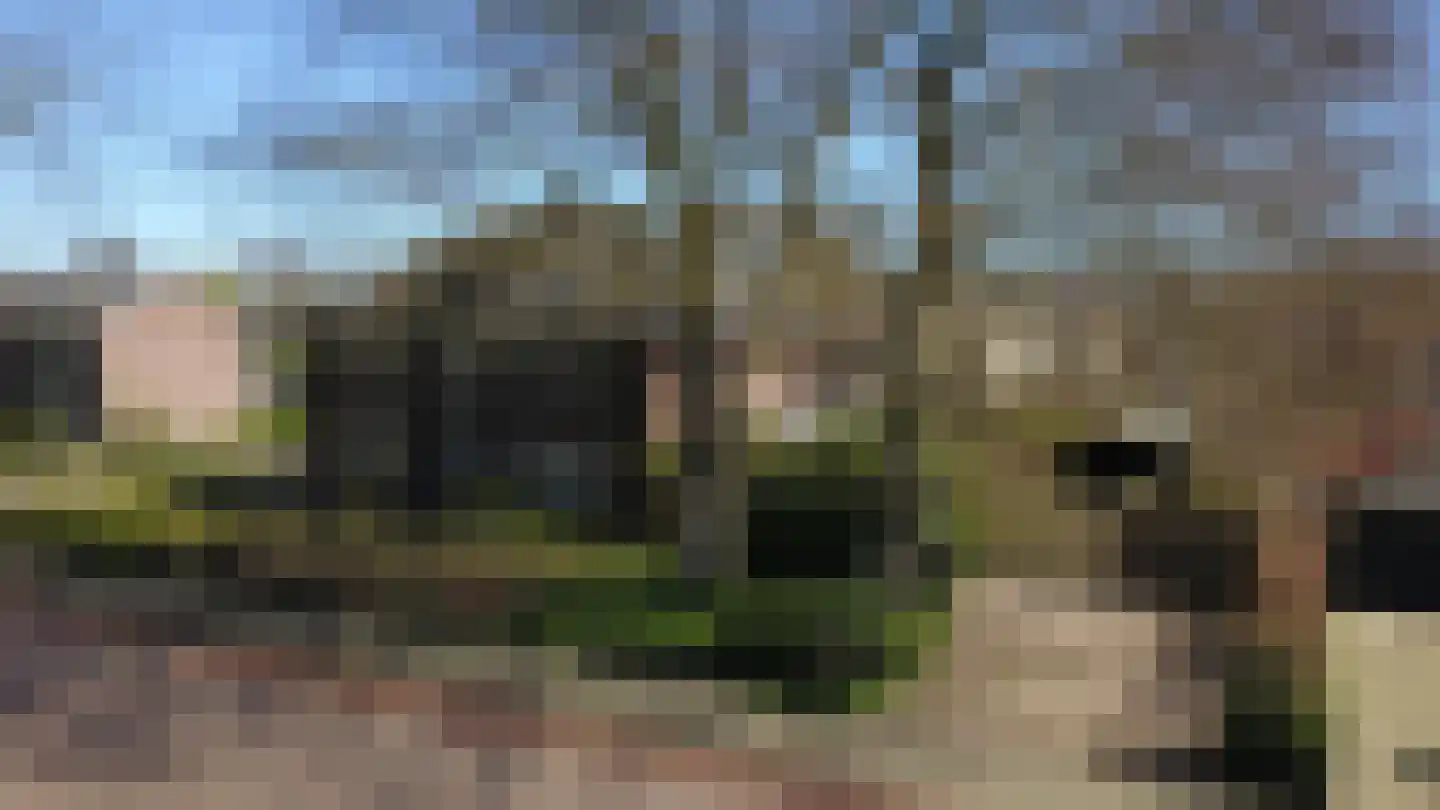 Ruurloseweg 17 Zelhem thumbnail 6