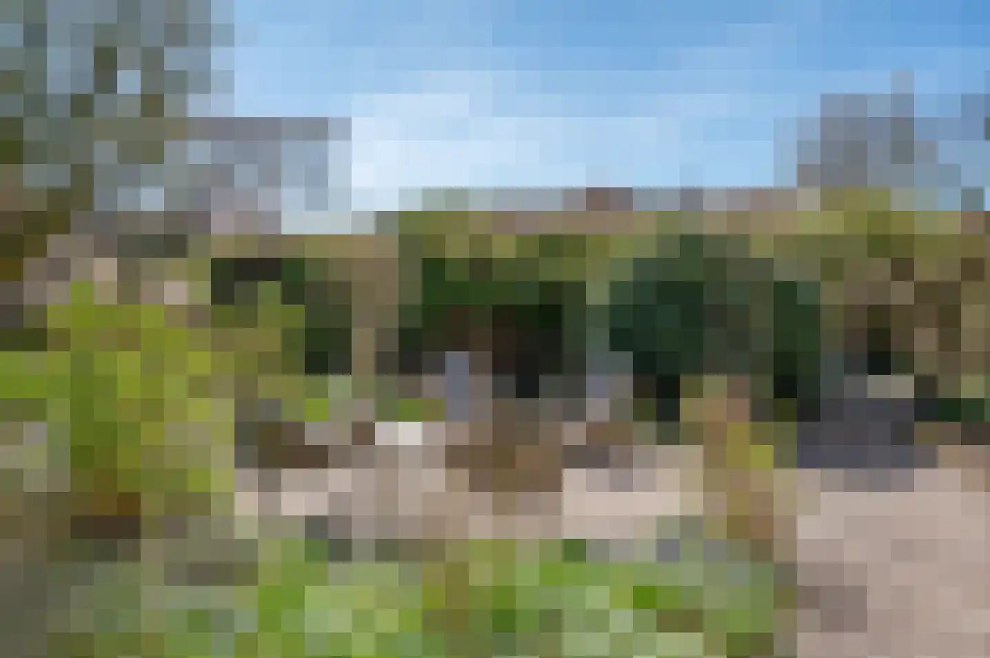 Ruurloseweg 17 Zelhem thumbnail 62