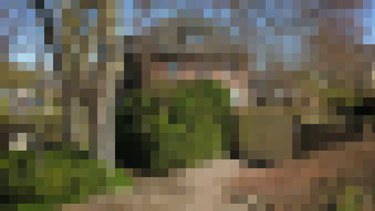 Ruurloseweg 17 Zelhem thumbnail 7