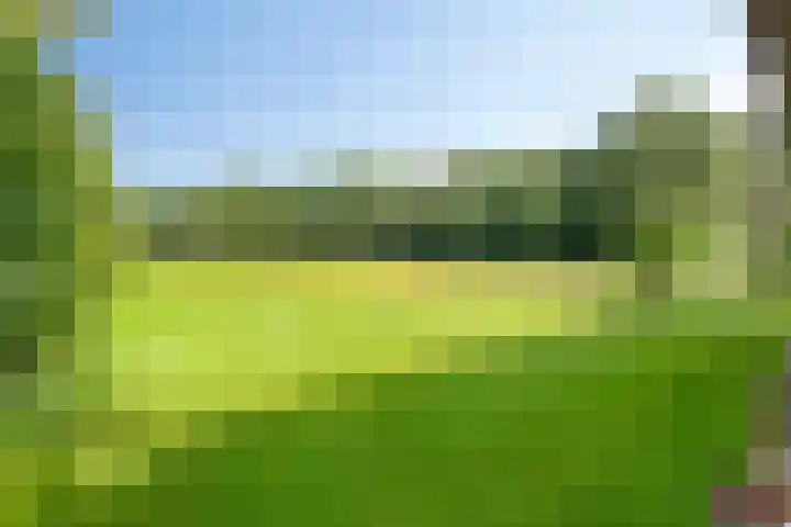 Ruurloseweg 18 Zelhem thumbnail 37