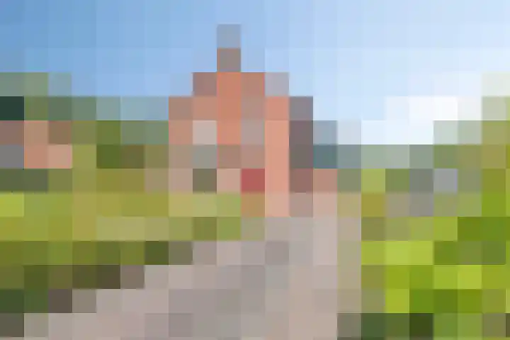 Ruurloseweg 18 Zelhem thumbnail 4