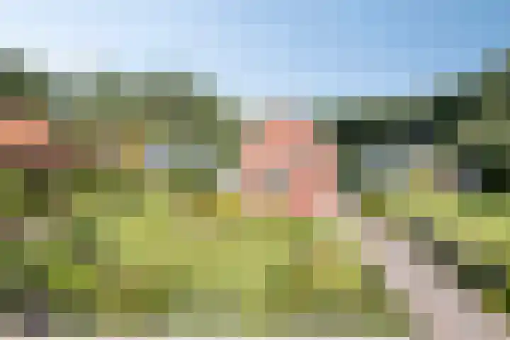 Ruurloseweg 18 Zelhem thumbnail 5