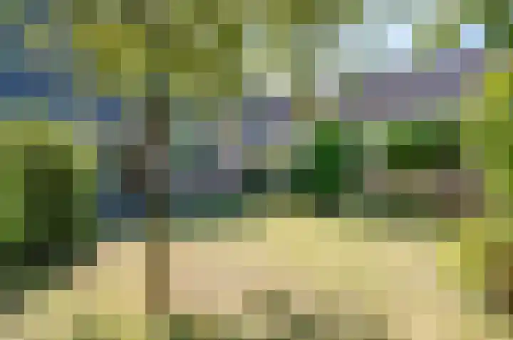 Ruurloseweg 2 Zelhem thumbnail 33