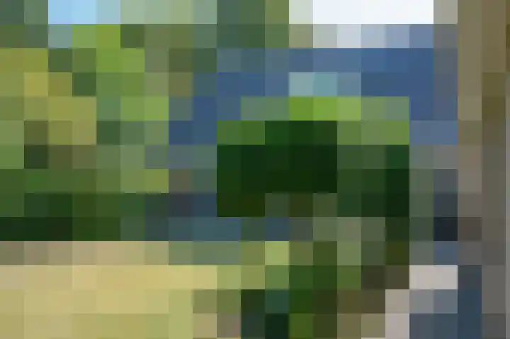Ruurloseweg 2 Zelhem thumbnail 34
