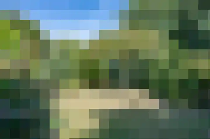 Ruurloseweg 2 Zelhem thumbnail 36