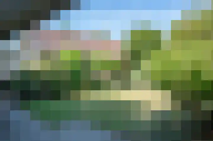 Ruurloseweg 2 Zelhem thumbnail 37