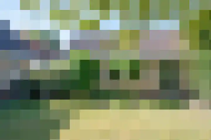 Ruurloseweg 2 Zelhem thumbnail 38