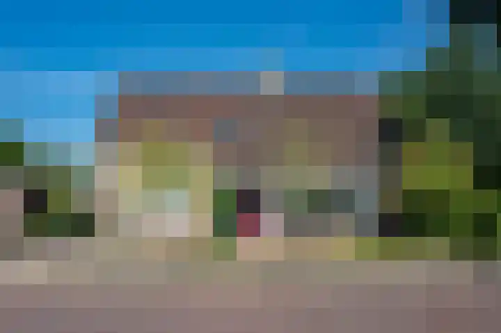 Ruurloseweg 2 Zelhem thumbnail 4