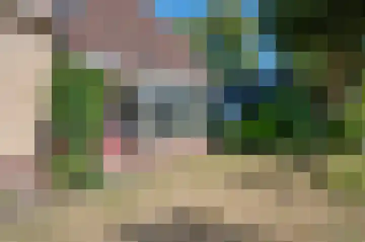 Ruurloseweg 2 Zelhem thumbnail 7